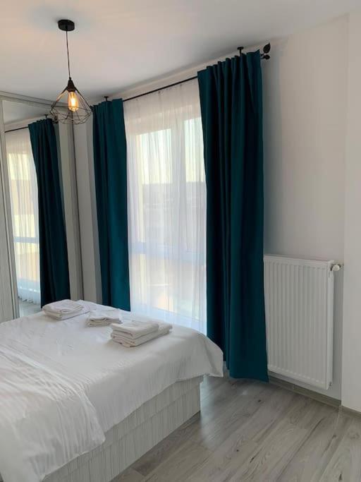 Cozy Apartment In The Center Of Cluj-Napoca Buitenkant foto