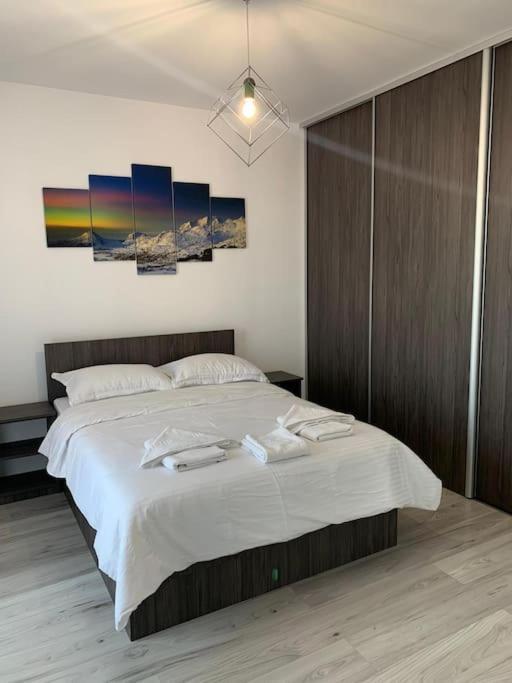 Cozy Apartment In The Center Of Cluj-Napoca Buitenkant foto